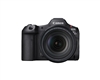 Canon EOS R5 Mark II + RF24-105MM F4